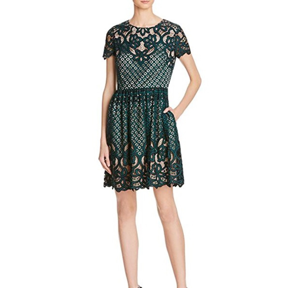 Elegant lace dress